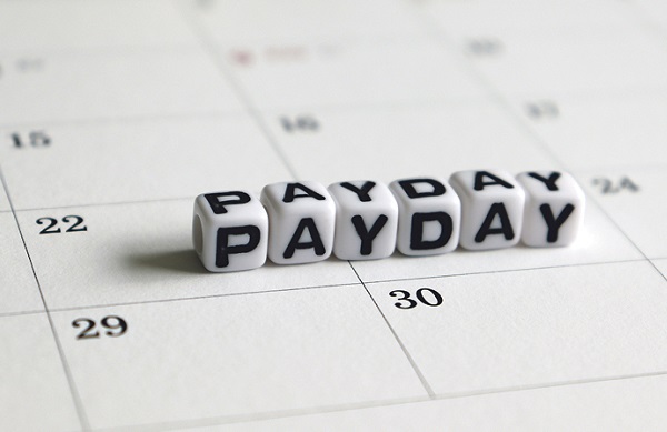ask-PAYE - Employer Monthly Schedules